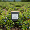 Blueberry Cove coconut-soy scented candle by Maine Coast Candle Company, Coastal Collection