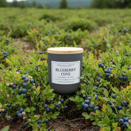 Blueberry Cove coconut-soy scented candle by Maine Coast Candle Company, Coastal Collection